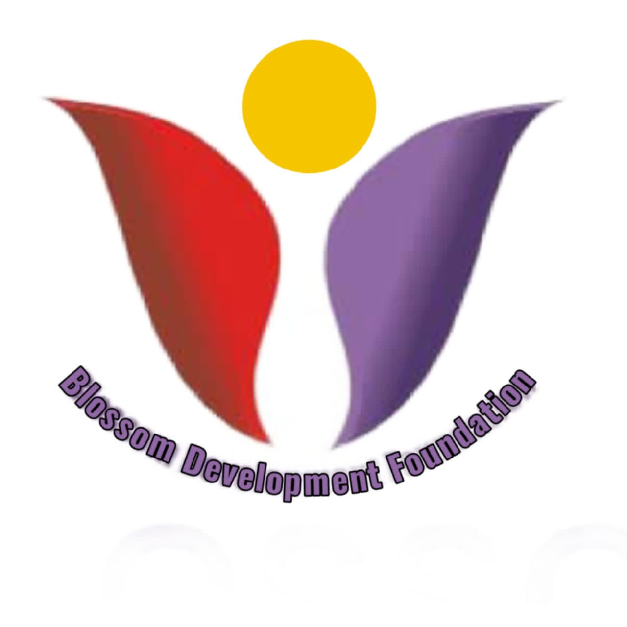 Blossom Development Foundation