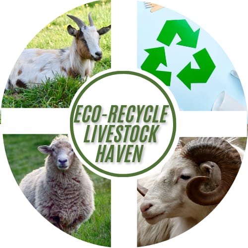 Eco-Recycle Livestock Haven